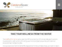 Tablet Screenshot of calderaspas.com